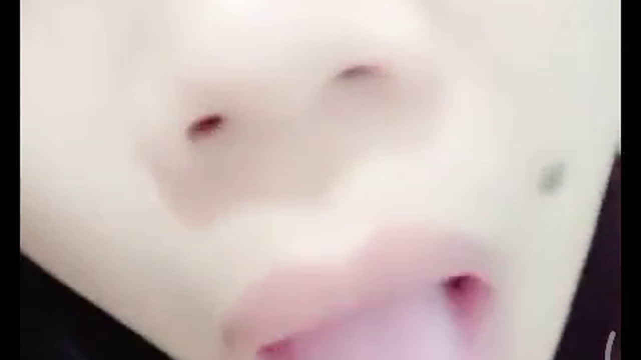 tipisnyembul