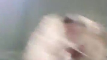 Bokep Indo Babyaraa Memek Pink Mulus Colmek